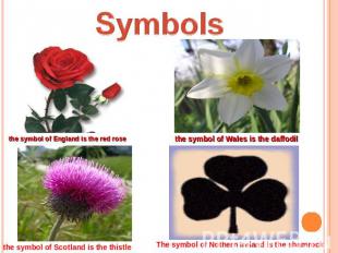 Symbols the symbol of England is the red rose the symbol of Wales is the daffodi