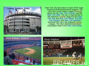 New York City has teams in each of the major American professional sports league