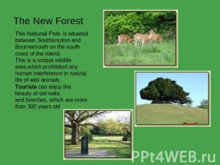 The New Forest This National Park  is situated between Southampton and Bournemou