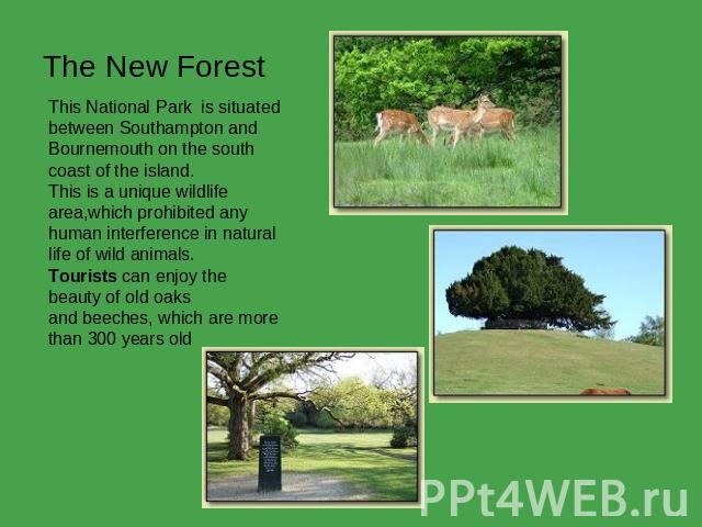 The New Forest This National Park  is situated between Southampton and Bournemouth on the south coast of the island.This is a unique wildlifearea,which prohibited any  human interference in natural life of wild animals. Tourists can enjoy the beauty…