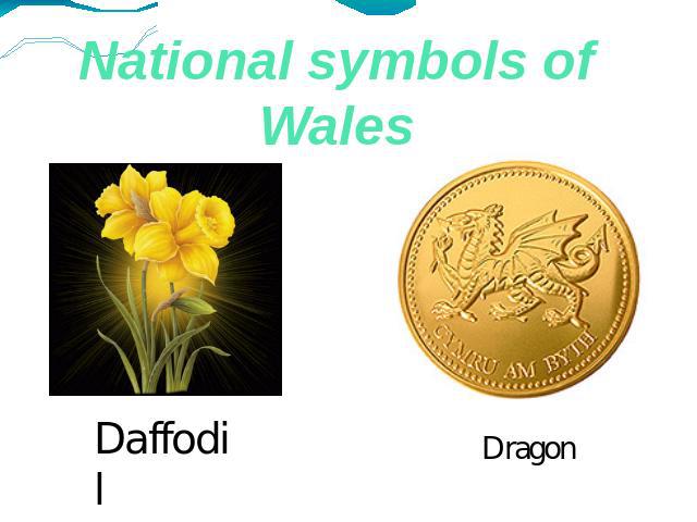 National symbols of Wales Daffodil Dragon