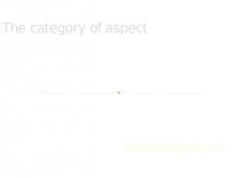 The category of aspect