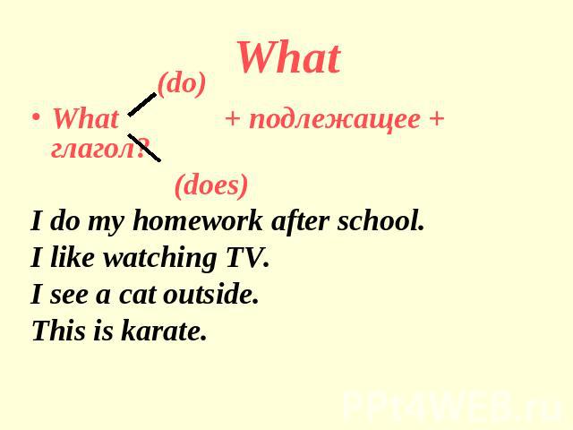 What (do)What + подлежащее + глагол? (does)I do my homework after school.I like watching TV.I see a cat outside.This is karate.