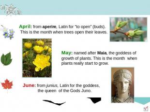 April: from aperire, Latin for “to open” (buds). This is the month when trees op