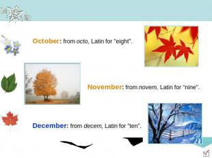 October: from octo, Latin for “eight”. November: from novem, Latin for “nine”. D