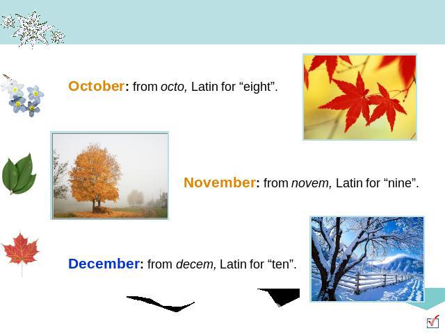 October: from octo, Latin for “eight”. November: from novem, Latin for “nine”. December: from decem, Latin for “ten”.