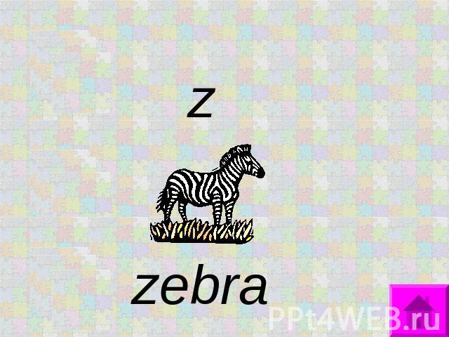 z zebra