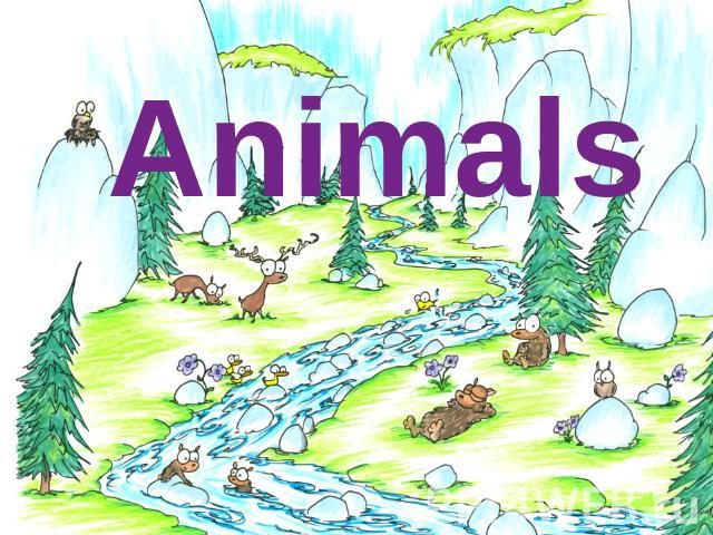 Animals