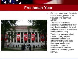 Freshman Year Each student's plan of study is individualized, guided in the firs