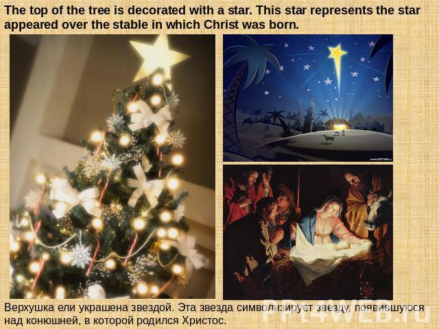 The top of the tree is decorated with a star. This star represents the star appeared over the stable in which Christ was born. Верхушка ели украшена звездой. Эта звезда символизирует звезду, появившуюся над конюшней, в которой родился Христос.