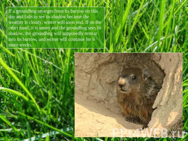 If a groundhog emerges from its burrow on this day and fails to see its shadow because the weather is cloudy, winter will soon end. If on the other hand, it is sunny and the groundhog sees its shadow, the groundhog will supposedly retreat into its b…