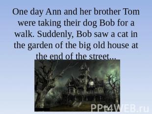 One day Ann and her brother Tom were taking their dog Bob for a walk. Suddenly,