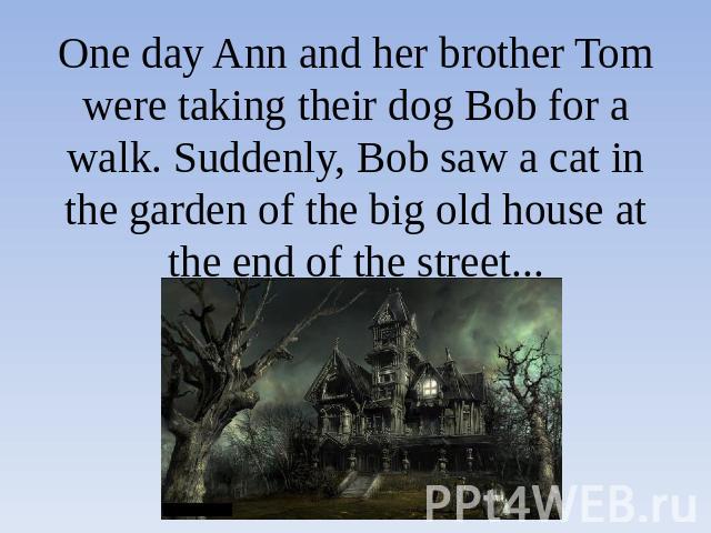 One day Ann and her brother Tom were taking their dog Bob for a walk. Suddenly, Bob saw a cat in the garden of the big old house at the end of the street...