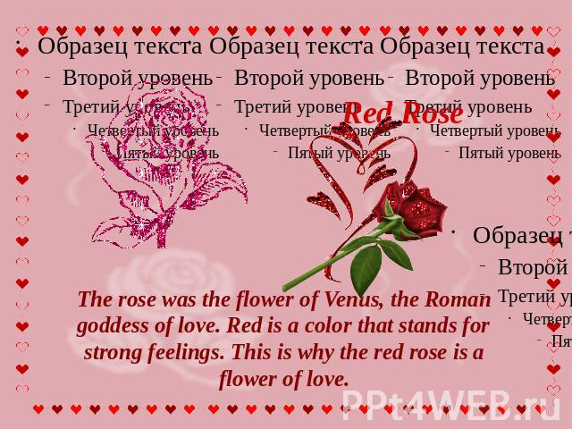Red Rose The rose was the flower of Venus, the Roman goddess of love. Red is a color that stands for strong feelings. This is why the red rose is a flower of love.
