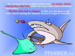 Sea creatures to be avoided include some sea snakes, sharks and the Box Jelly Fi