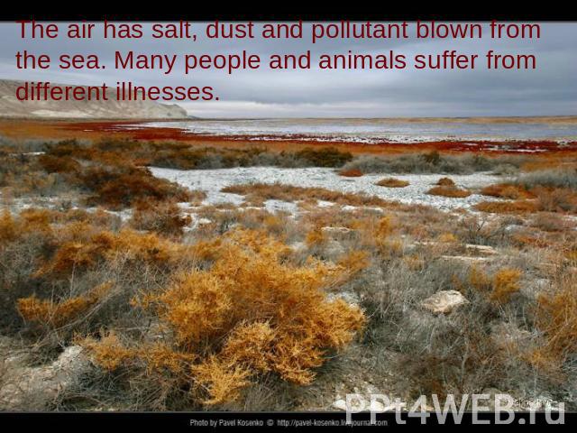 The air has salt, dust and pollutant blown from the sea. Many people and animals suffer from different illnesses.