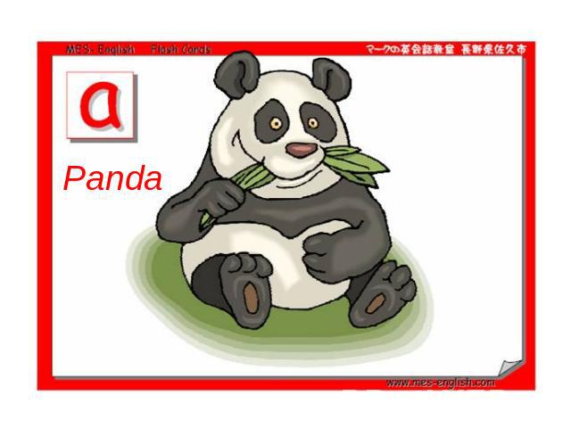 Panda