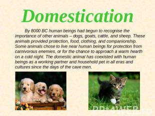 Domestication By 8000 BC human beings had begun to recognise the importance of o