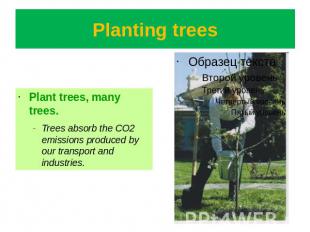 Planting trees Plant trees, many trees.Trees absorb the CO2 emissions produced b