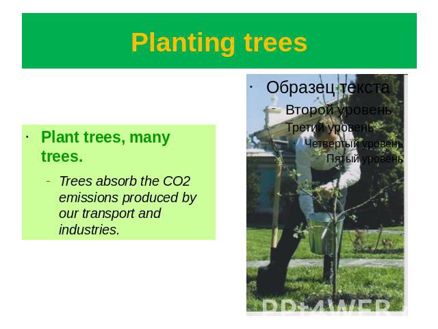 Planting trees Plant trees, many trees.Trees absorb the CO2 emissions produced by our transport and industries.