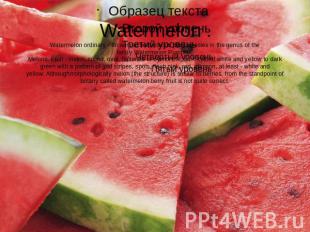 Watermelon .Watermelon ordinary - an annual herbaceous plant species in the genu