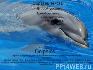 Dolphins .Dolphins, or dolphins - a family of mammals of the order Cetacea,subor