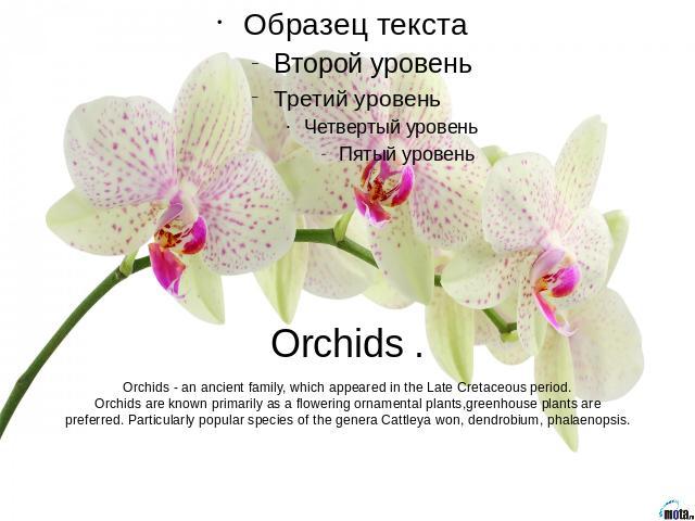 Orchids .Orchids - an ancient family, which appeared in the Late Cretaceous period.Orchids are known primarily as a flowering ornamental plants,greenhouse plants are preferred. Particularly popular species of the genera Cattleya won, dendrobium, pha…
