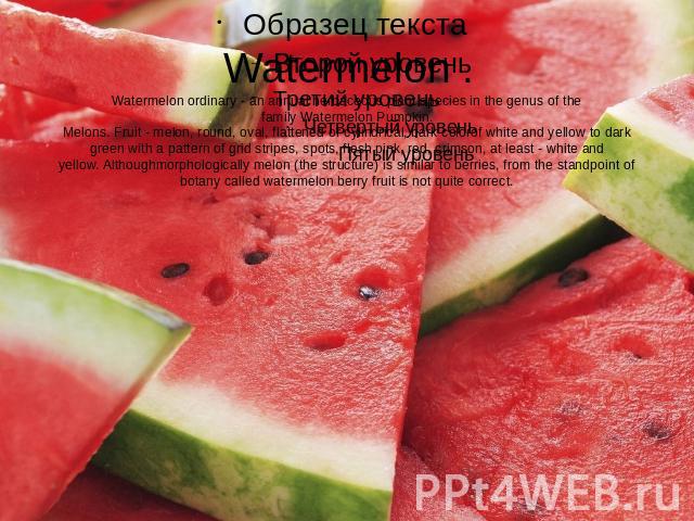 Watermelon .Watermelon ordinary - an annual herbaceous plant species in the genus of the family Watermelon Pumpkin.Melons. Fruit - melon, round, oval, flattened or cylindrical, bark colorof white and yellow to dark green with a pattern of grid strip…
