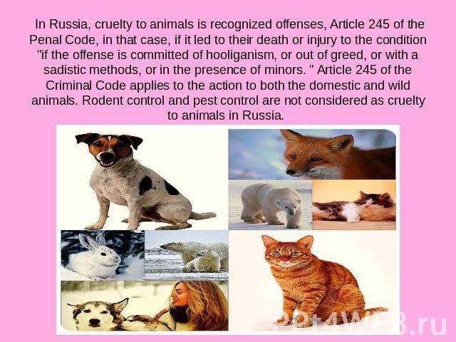 In Russia, cruelty to animals is recognized offenses, Article 245 of the Penal Code, in that case, if it led to their death or injury to the condition 