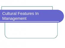 Cultural Features In Management