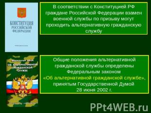 В соответствии с Конституцией РФ граждане Российской Федерации взамен военной сл