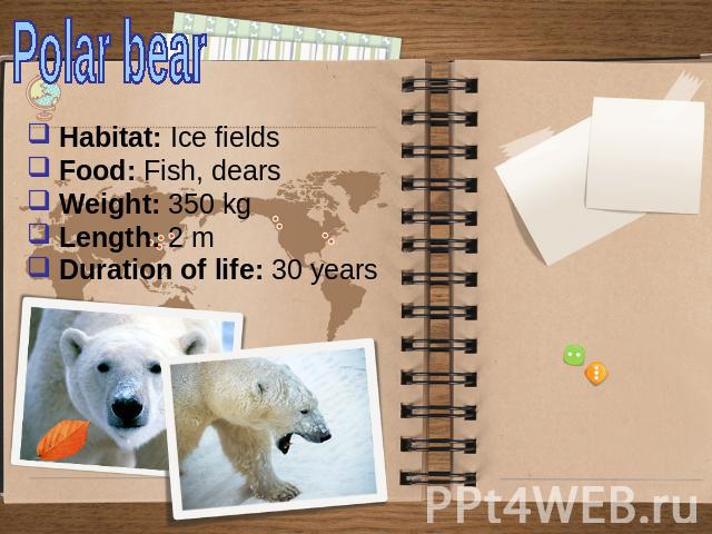 Polar bear Habitat: Ice fields Food: Fish, dears Weight: 350 kg Length: 2 m Duration of life: 30 years