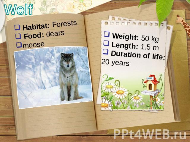 Wolf Habitat: Forests Food: dears moose Weight: 50 kg Length: 1.5 m Duration of life: 20 years