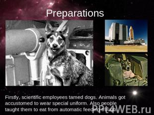 PreparationsFirstly, scientific employees tamed dogs. Animals got accustomed to