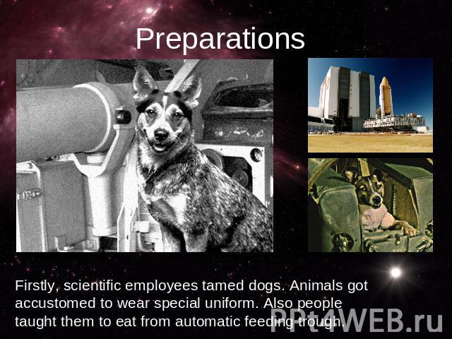 PreparationsFirstly, scientific employees tamed dogs. Animals got accustomed to wear special uniform. Also people taught them to eat from automatic feeding trough.