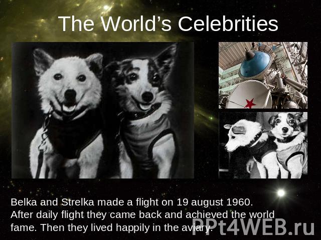 The World’s CelebritiesBelka and Strelka made a flight on 19 august 1960. After daily flight they came back and achieved the world fame. Then they lived happily in the aviary.
