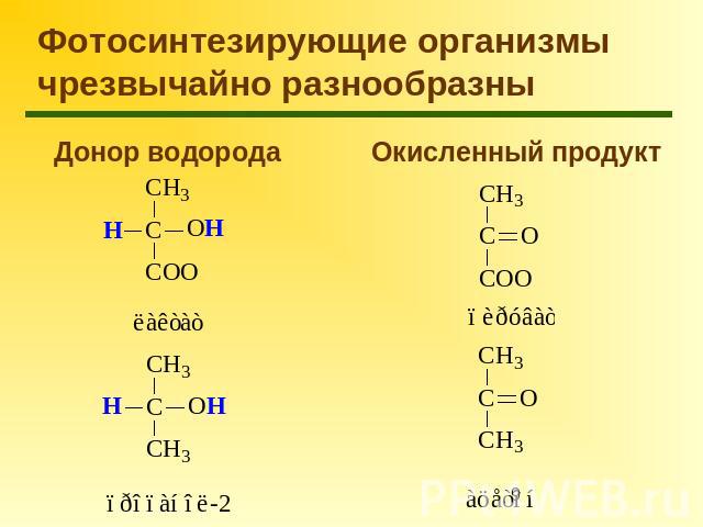 Фотосинтезирующие организмы чрезвычайно разнообразны Донор водорода Окисленный продукт