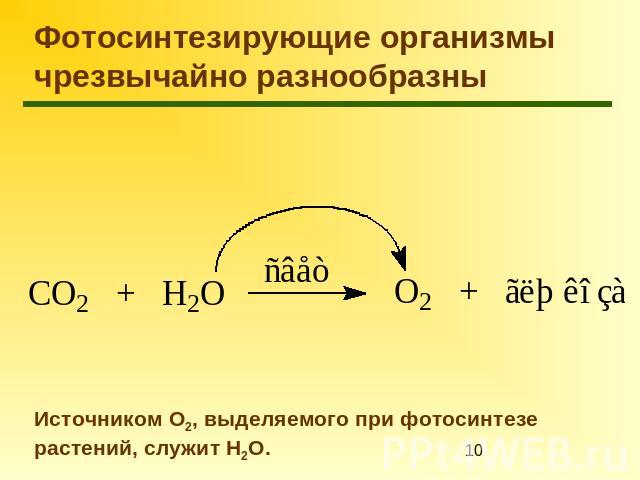 Фотосинтезирующие организмы чрезвычайно разнообразны Источником О2, выделяемого при фотосинтезе растений, служит Н2О.