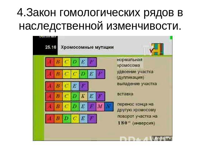 4.Закон гомологических рядов в наследственной изменчивости.