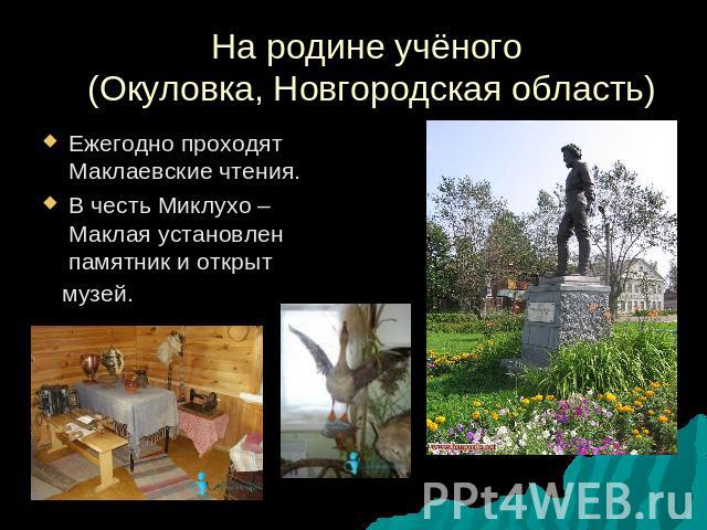 На родине учёного (Окуловка, Новгородская область) Ежегодно проходят Маклаевские чтения. В честь Миклухо – Маклая установлен памятник и открыт музей.