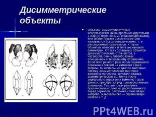 Дисимметрические объекты Объекты, симметрия которых исчерпывается лишь простыми