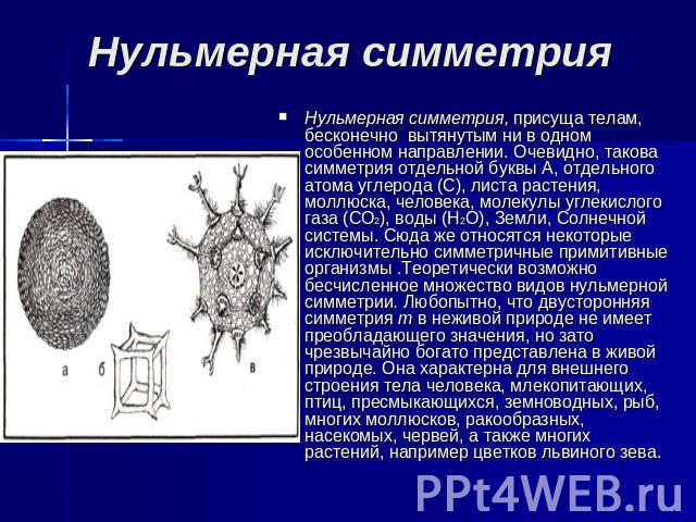 Нульмерная симметрия Нульмерная симметрия, присуща телам, бесконечно вытянутым ни в одном особенном направлении. Очевидно, такова симметрия отдельной буквы А, отдельного атома углерода (С), листа растения, моллюска, человека, молекулы углекислого га…