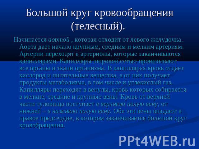 Большой круг кровообращения (телесный). Начинается аортой , которая отходит от левого желудочка. Аорта дает начало крупным, средним и мелким артериям. Артерии переходят в артериолы, которые заканчиваются капиллярами. Капилляры широкой сетью пронизыв…