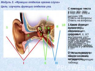 Модуль 3. «Функции отделов органа слуха» Цель: изучить функции отделов уха. C по