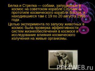 Белка и Стрелка — собаки, запущенные в космос на советском корабле Спутник-5, пр