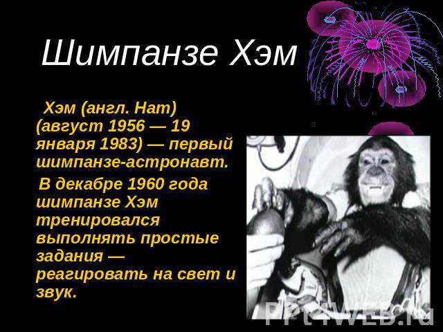 Шимпанзе Хэм Хэм (англ. Ham) (август 1956 — 19 января 1983) — первый шимпанзе-астронавт. В декабре 1960 года шимпанзе Хэм тренировался выполнять простые задания — реагировать на свет и звук.