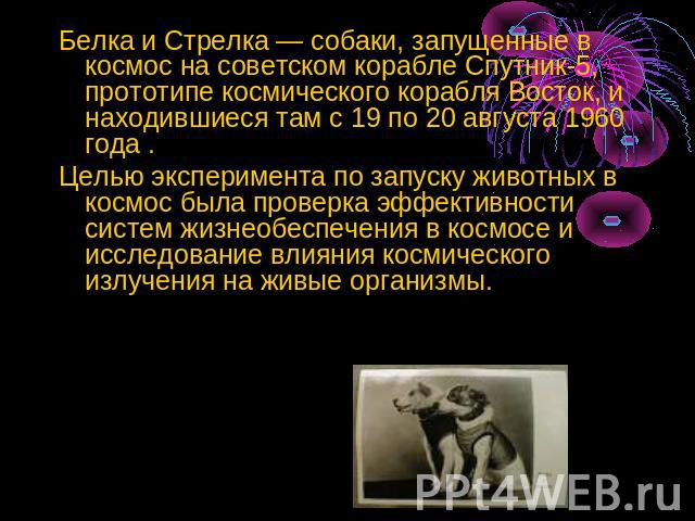 Белка и Стрелка — собаки, запущенные в космос на советском корабле Спутник-5, прототипе космического корабля Восток, и находившиеся там с 19 по 20 августа 1960 года . Целью эксперимента по запуску животных в космос была проверка эффективности систем…