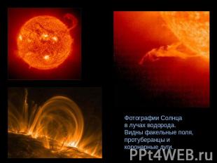 Фотографии Солнца в лучах водорода. Видны факельные поля, протуберанцы и коронар
