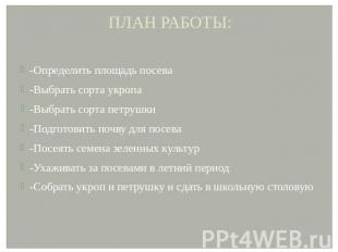 ПЛАН РАБОТЫ: -Определить площадь посева -Выбрать сорта укропа -Выбрать сорта пет