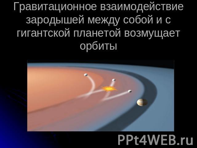 Гравитационное взаимодействие зародышей между собой и с гигантской планетой возмущает орбиты